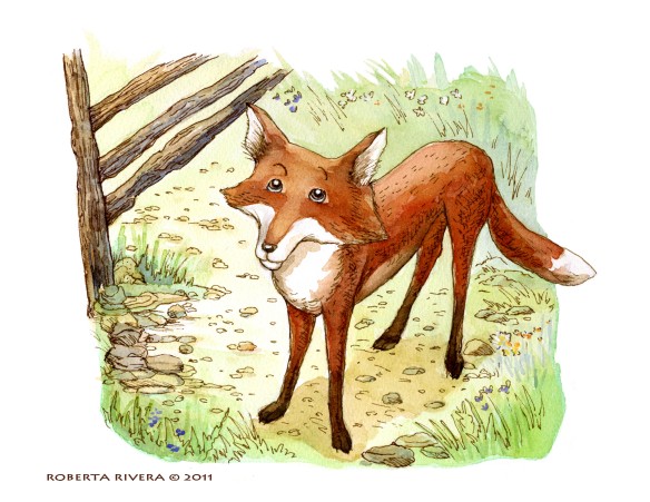 Fox by Roberta Rivera